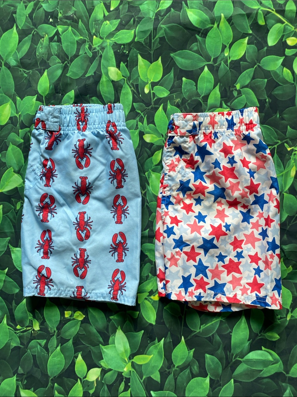 Rufflebutts Swim Shorts - 2-Pack size 5